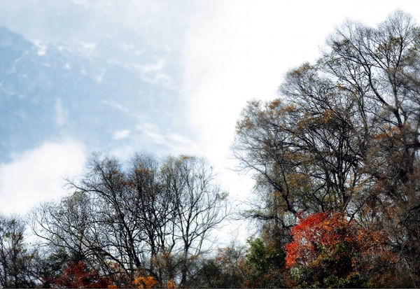 蜀南竹海、中国石海、西部大峡谷三日游